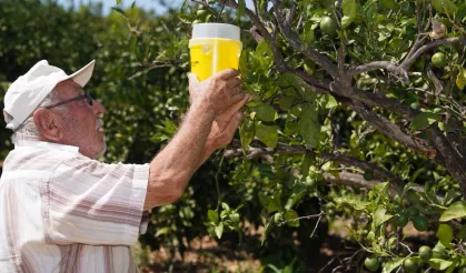 İzmir'den çiftçiye 270 milyon liralık destek