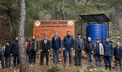 Dereköy Bal Ormanı Kullanıma Hazır