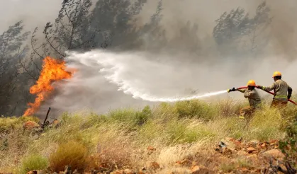 Ormanlarda yangın riskine dikkat!