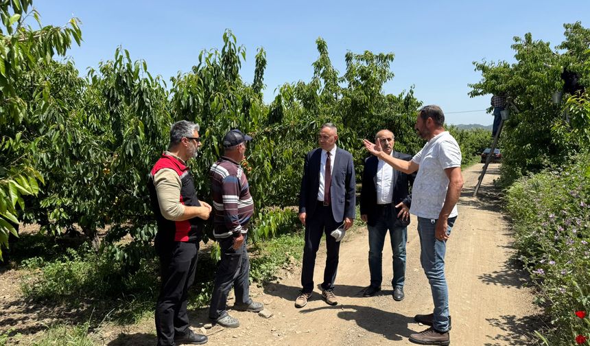 Kaymakam Musa Sarı'dan Bağyurdu’nda Kiraz Üreticilerine Ziyaret